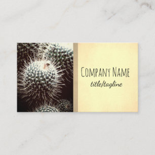 cactus nature plants sepia double sided custom business card