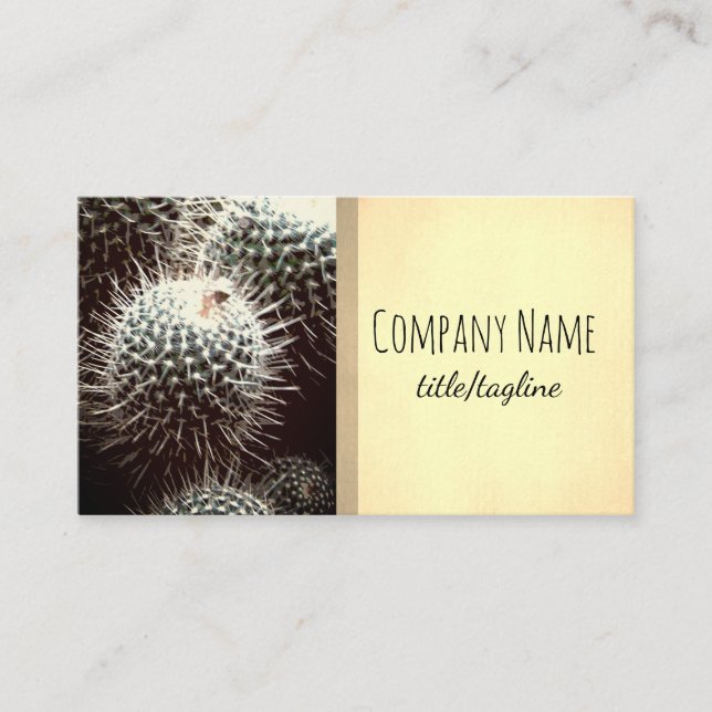 cactus nature plants sepia double sided custom business card (Front)