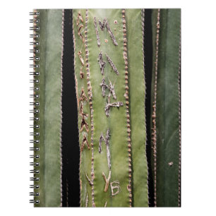 Cactus Notebook