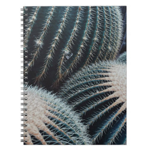Cactus Notebook