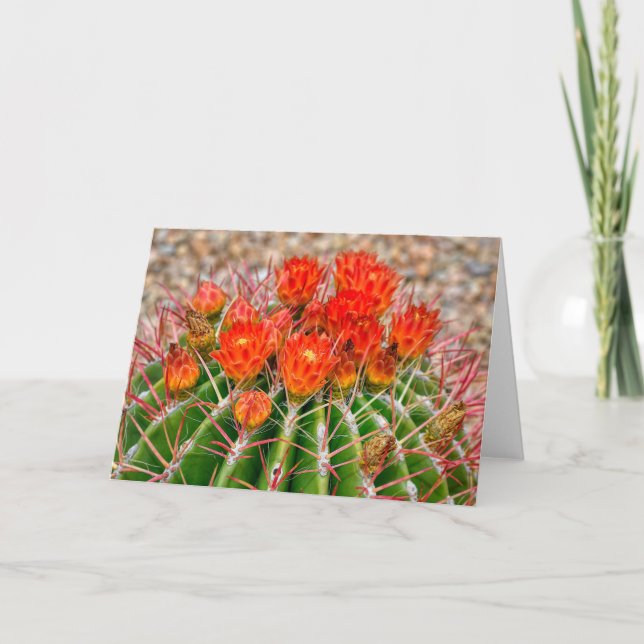 Cactus Notecard - Blooms of Arizona (Front)