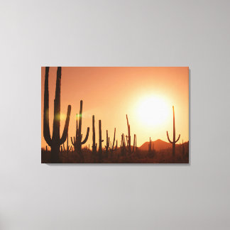 Cactus On Desert Canvas Print