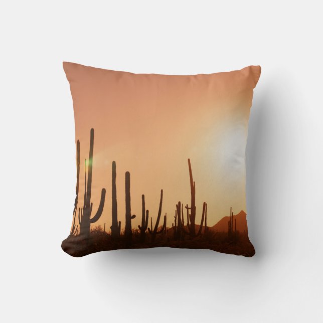 Cactus On Desert Cushion (Front)