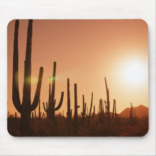 Cactus On Desert Mouse Mat