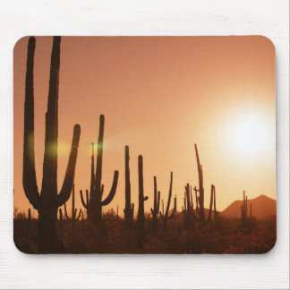 Cactus On Desert Mouse Mat