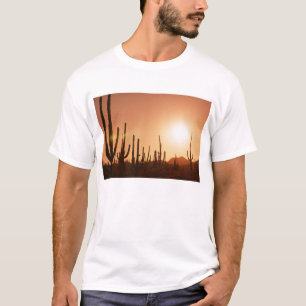 Cactus On Desert T-Shirt