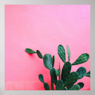 Cactus on Pink Background Poster
