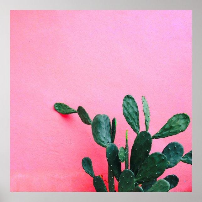 Cactus on Pink Background Poster (Front)
