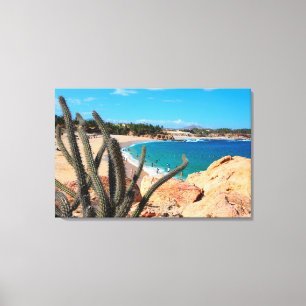Cactus On Rocky Hilltop Over Sandy Beach Canvas Print