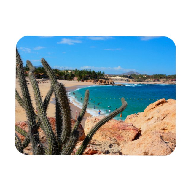 Cactus On Rocky Hilltop Over Sandy Beach Magnet (Horizontal)
