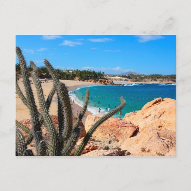 Cactus On Rocky Hilltop Over Sandy Beach Postcard (Front)