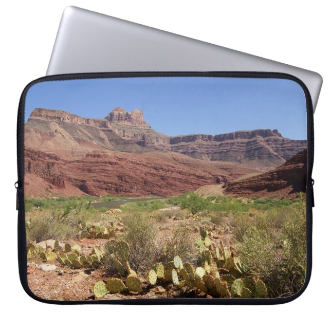 Cactus On Unkar Delta In Grand Canyon  Electronics Laptop Sleeve (Front)