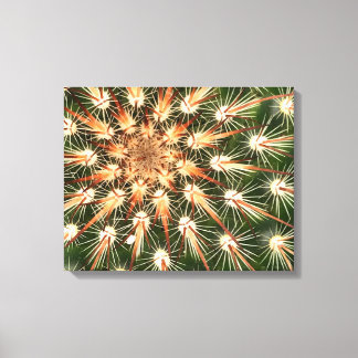 Cactus orange and white spines canvas print