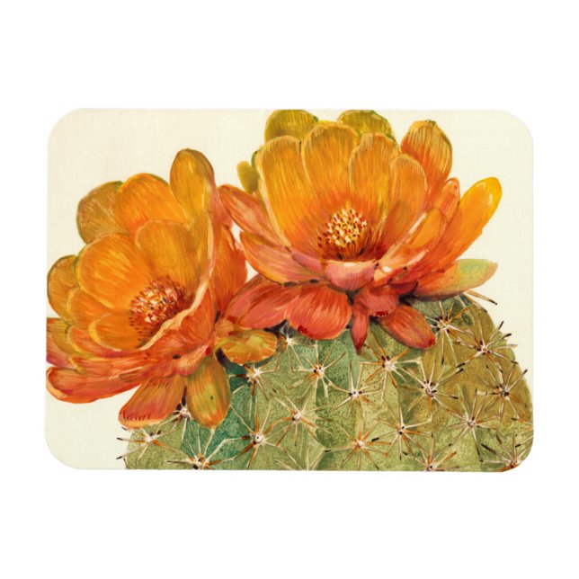Cactus Orange Blossoms Magnet (Horizontal)