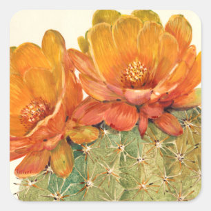 Cactus Orange Blossoms Square Sticker