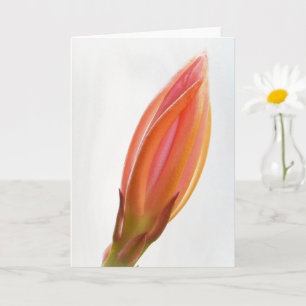 Cactus Orchid Bud Orange Flower Art Note Card
