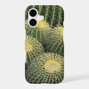 Cactus Pattern