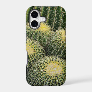 Cactus Pattern