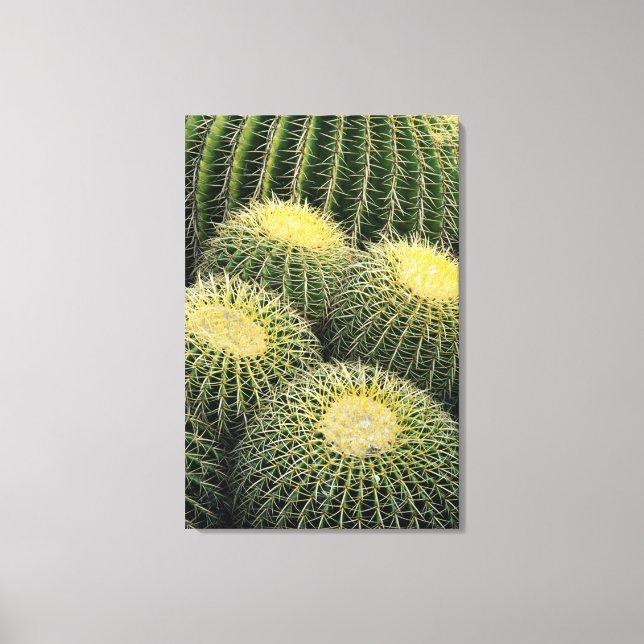 Cactus Pattern Canvas Print (Front)