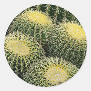 Cactus Pattern Classic Round Sticker