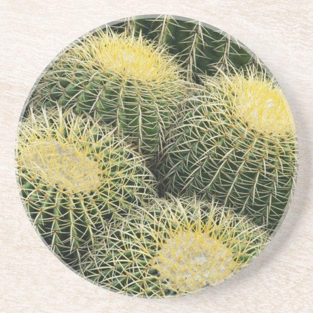 Cactus Pattern Coaster (Front)