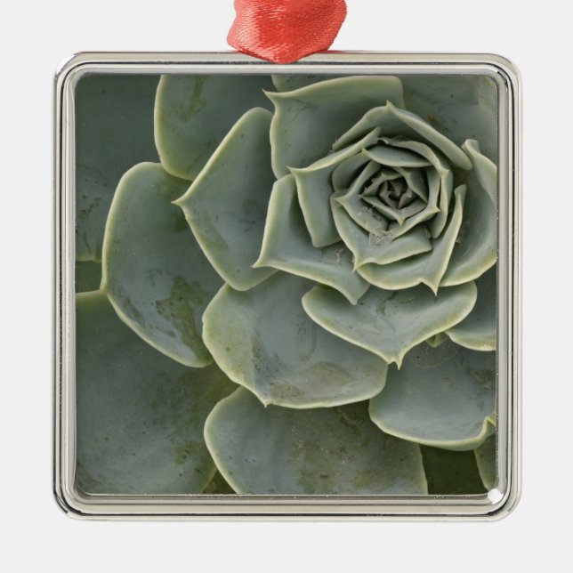 Cactus pattern metal tree decoration (Front)