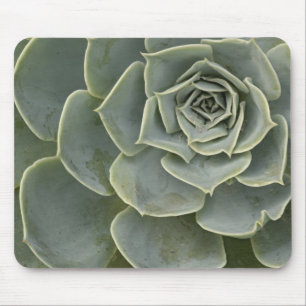 Cactus pattern mouse mat