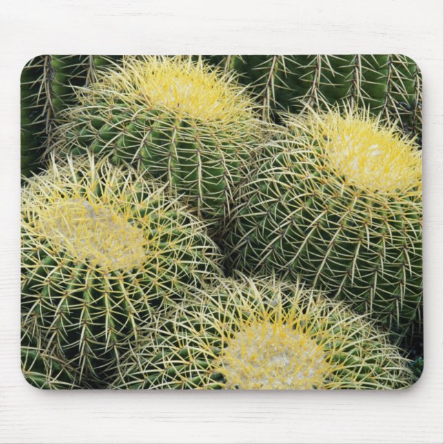 Cactus Pattern Mouse Mat (Front)