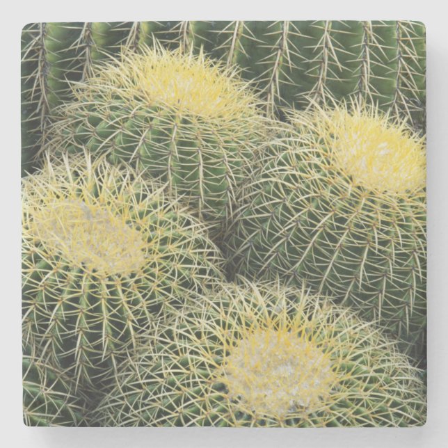 Cactus Pattern Stone Coaster (Front)