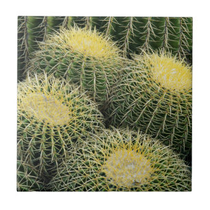 Cactus Pattern Tile