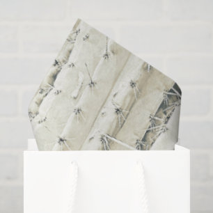 Cactus Photo Art Neutral Chic Modern Desert Tissue Paper