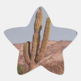 Cactus Photograph Sticker