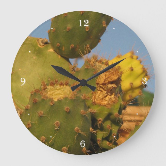Cactus Photography Wall Clock (Front)