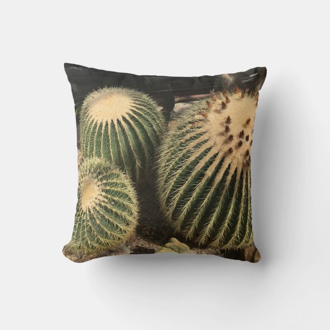 Cactus Pillow (Front)