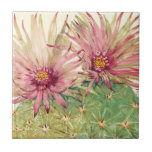 Cactus Pink Blossoms Tile<br><div class="desc">Cactus Pink Blossoms  Artist: Tim OToole</div>