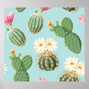 Cactus, pink flowers: light decor