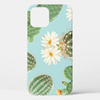 Cactus, pink flowers: light decor