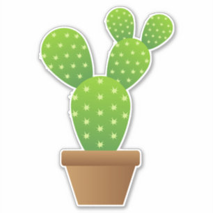 cactus plant