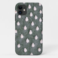 Cactus Plant Close-up Photo iPhone SE + iPhone 5/5