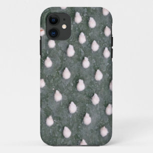 Cactus Plant Close-up Photo iPhone SE + iPhone 5/5 iPhone 11 Case