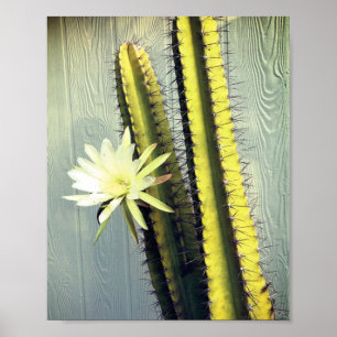 Cactus Plant with Flower Photograph Nature Art Poster