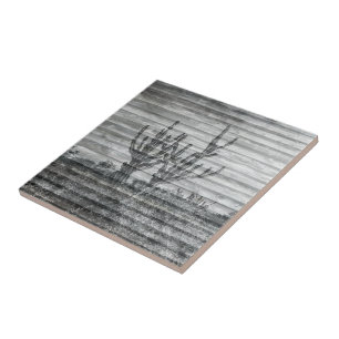 Cactus Plants On Wood Planks Black And White Photo Tile
