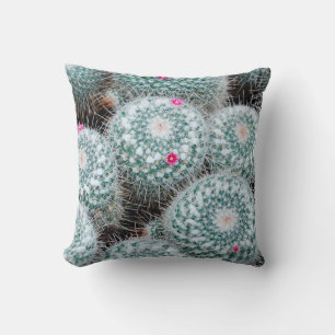 Cactus Plants with Tiny Pink Flowers Cushion