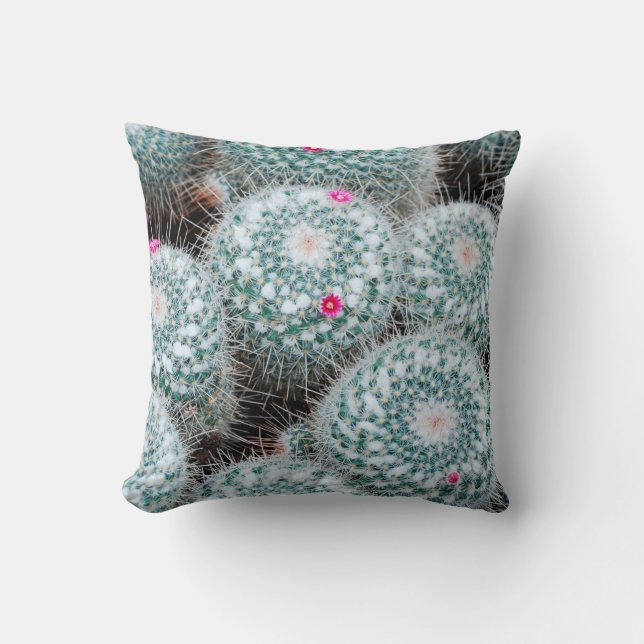 Cactus Plants with Tiny Pink Flowers Cushion (Front)