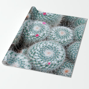 Cactus Plants with Tiny Pink Flowers Wrapping Paper