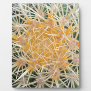 Cactus Plaque