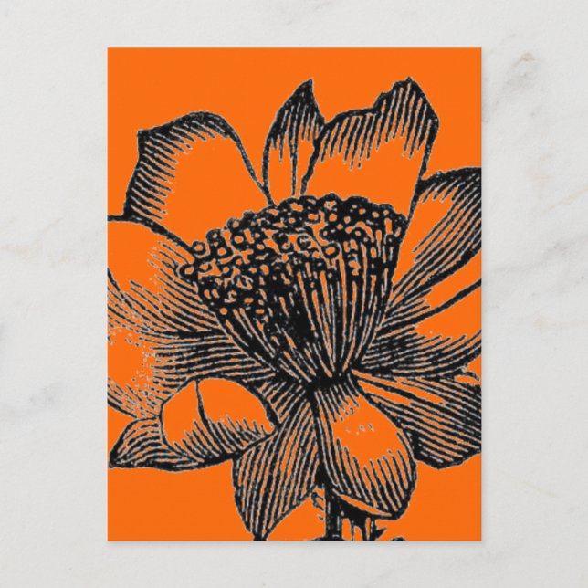 Cactus Postcard (Front)