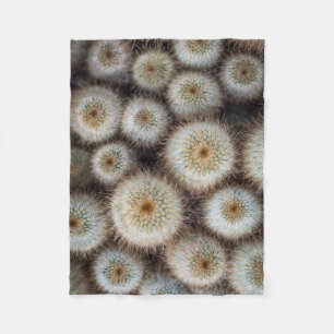 Cactus Prickly Fleece Blanket