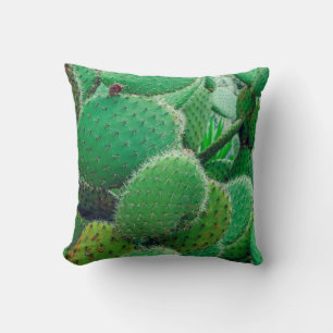 Cactus, prickly pear cactus ,cactus spines, close cushion
