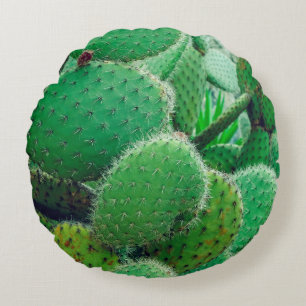 Cactus, prickly pear cactus ,cactus spines, close round cushion